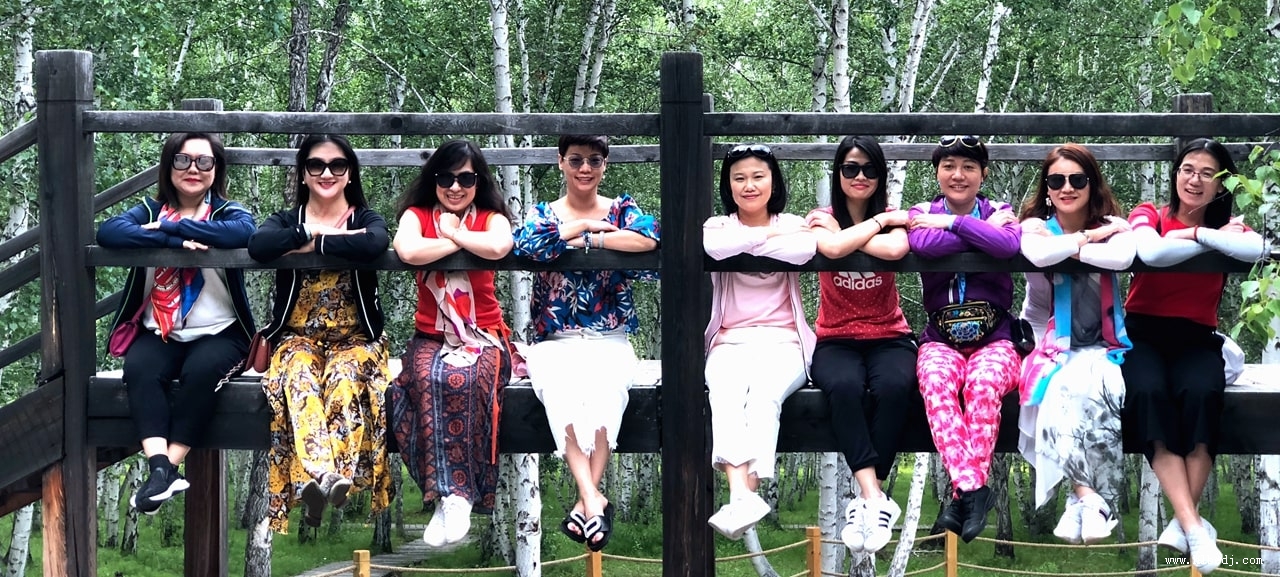 呼倫貝爾白樺林