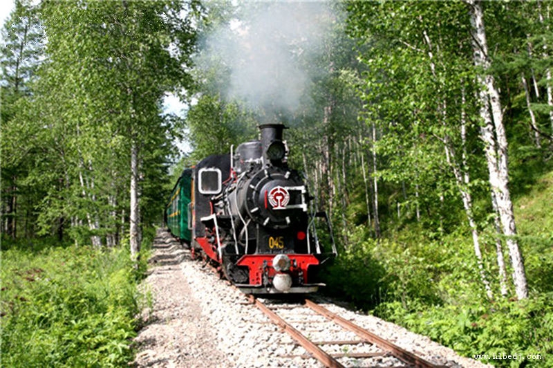 阿里河國(guó)家森林公園